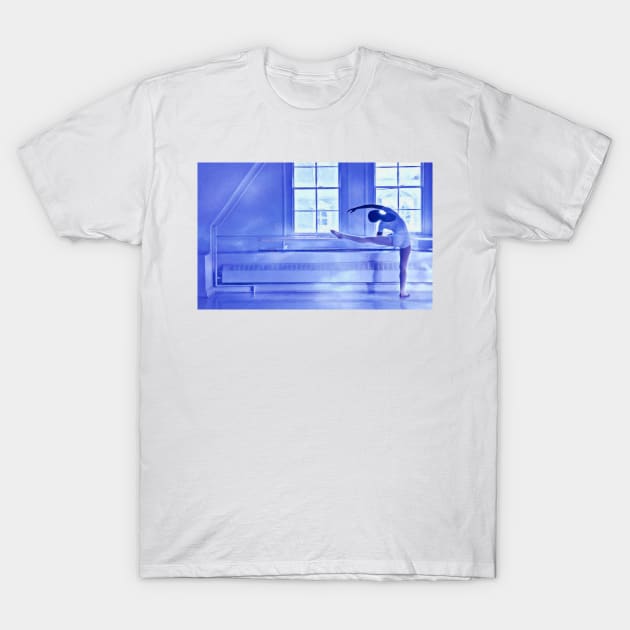 Ballet Dancer T-Shirt by robophoto